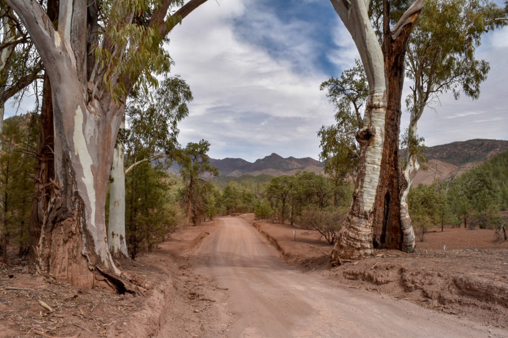 Scenic drive, Bunyeroo Rd,  Flinders ranges