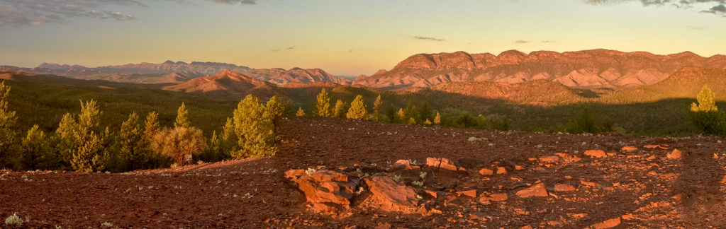 Red Hill Loukout, Flinder's ranges